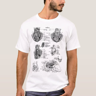 Anatomie van een okt8pus t-shirt