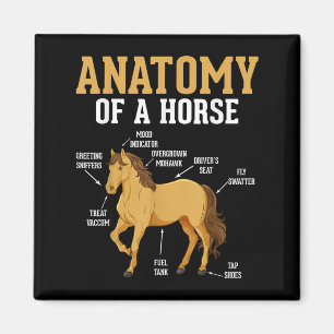 Anatomie van een paard Grappig Equestrian Neigh Ho Magneet