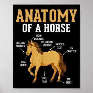 Anatomie van een paard Grappig Equestrian Neigh Ho Poster