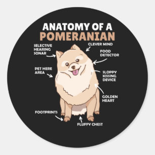 Anatomie van een pommerse koedel ronde sticker
