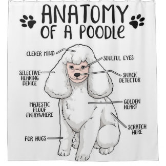 Anatomie van een Poodle Lover Gift Douchegordijn