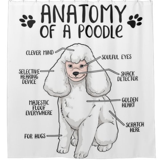 Anatomie van een Poodle Lover Gift Douchegordijn (Voorkant)