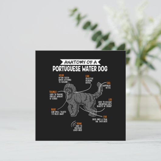 Anatomie van een Portugees waterhondenhok Kaart (Staand voorkant)