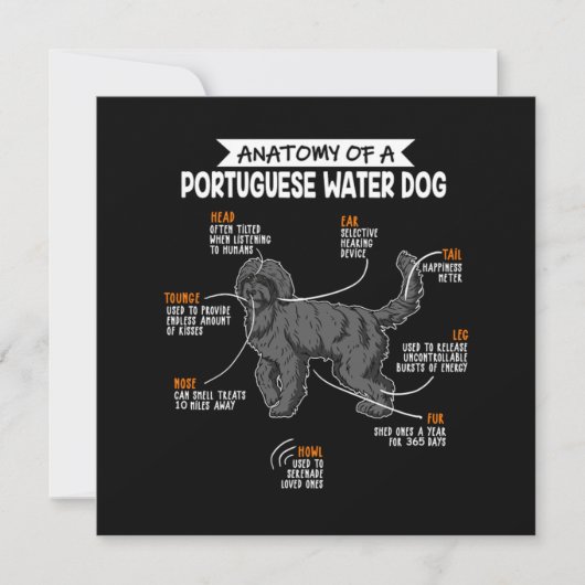 Anatomie van een Portugees waterhondenhok Kaart (Voorkant)