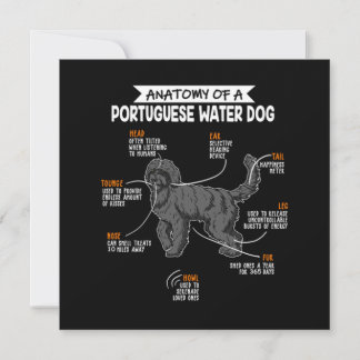 Anatomie van een Portugese Waterdog - Cadeau voor  Kaart
