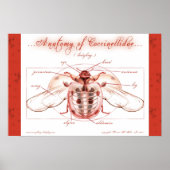 Anatomie van een Poster van het Ladybug (Coccinell (Voorkant)