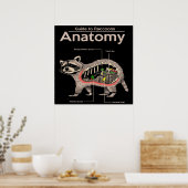 Anatomie van een Raccoon | Cute Panda Lover Poster (Keuken)