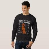Anatomie van een Redbone Coonhound Trui (Voorkant volledig)
