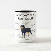 Anatomie van een rottweiler mok (Midden)