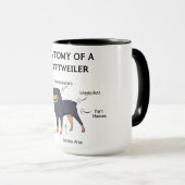 Anatomie van een rottweiler mok (Voorkant rechts)