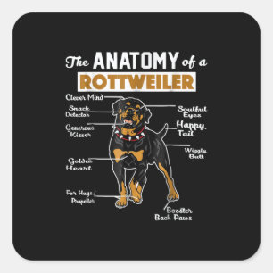 Anatomie van een rottweiler vierkante sticker