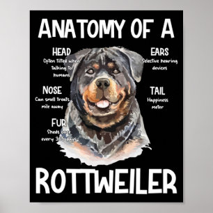 Anatomie van een rottweiler voor Hondenliefhebbers Poster