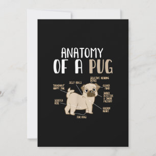 Anatomie van een ruggegraat van de hond van de kui bedankkaart