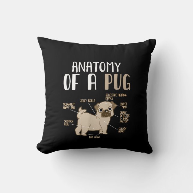 Anatomie van een ruggegraat van de hond van de kui kussen (Voorkant)
