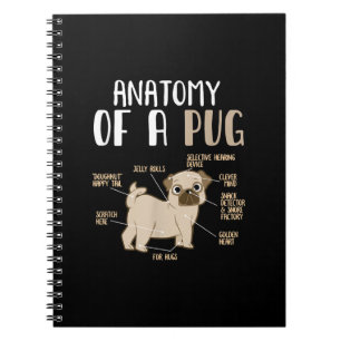 Anatomie van een ruggegraat van de hond van de kui notitieboek