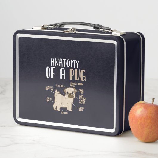 Anatomie van een ruggegraat van de hond van de rug (In situ)