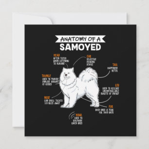 Anatomie van een Samoyed Dog Kaart