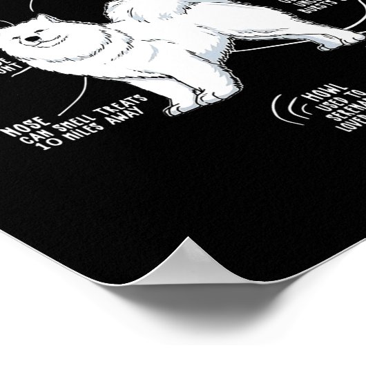 Anatomie van een Samoyed voor Fur Mama Papa houdt  Poster (Hoek)