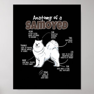 Anatomie van een Samoyed voor Fur Mama Papa houdt  Poster