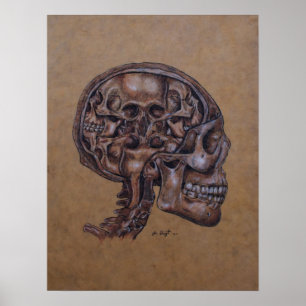 Anatomie van een schizofrene poster