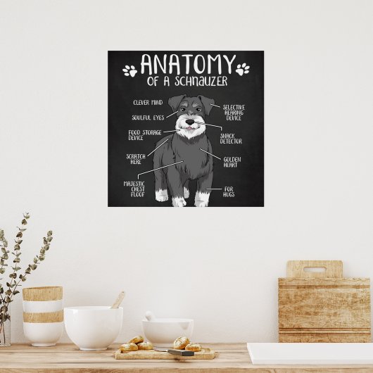 Anatomie van een Schnauzer Cute Dog Poster (Keuken)
