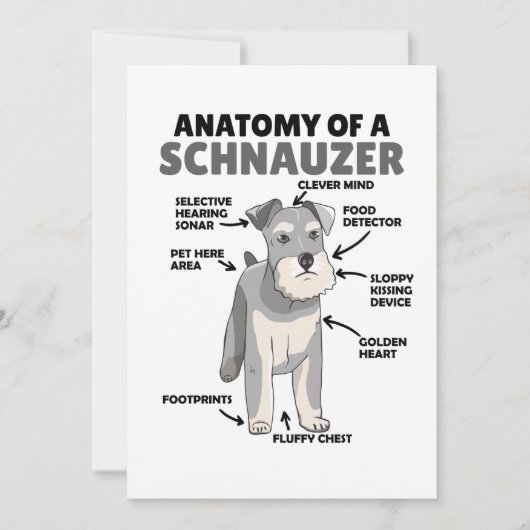 Anatomie van een Schnauzer Cute Dog Puppy Kaart (Voorkant)