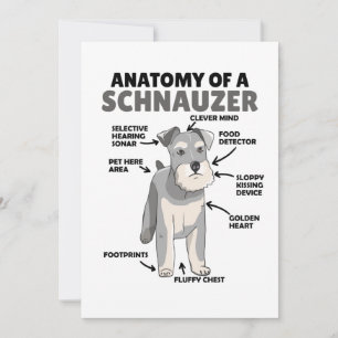 Anatomie van een Schnauzer Cute Dog Puppy Kaart