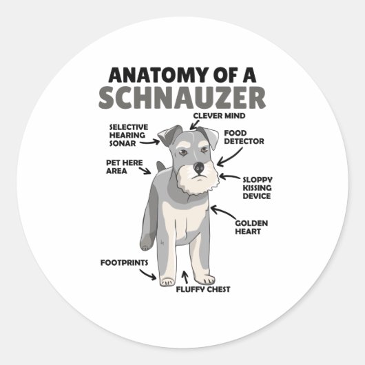 Anatomie van een Schnauzer Cute Dog Puppy Ronde Sticker (Voorkant)