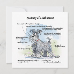 Anatomie van een Schnauzer Grappige Notitiekaart Notitiekaartje