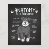 Anatomie van een Schnauzer Lover Gift Flyer (Voorkant)