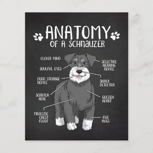 Anatomie van een Schnauzer Lover Gift Flyer (Voorkant)