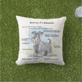 Anatomie van een Schnauzer Sierkussen (Gras)