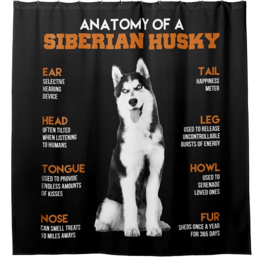 Anatomie van een Siberische Husky-hond grappige ku Douchegordijn (Voorkant)