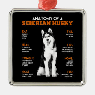 Anatomie van een Siberische Husky-hond grappige ku Metalen Ornament