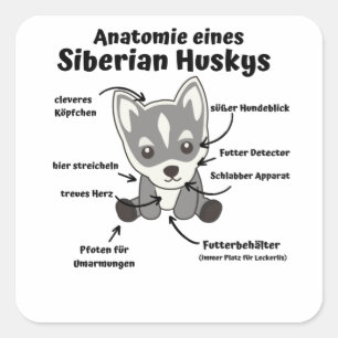 Anatomie van een siberische, zoete hondenhond vierkante sticker