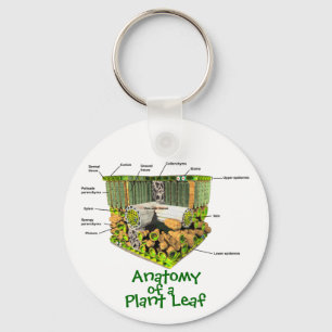 Anatomie van een sleutelketen van Plant Leaf Sleutelhanger