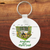 Anatomie van een sleutelketen van Plant Leaf Sleutelhanger (Voorkant)