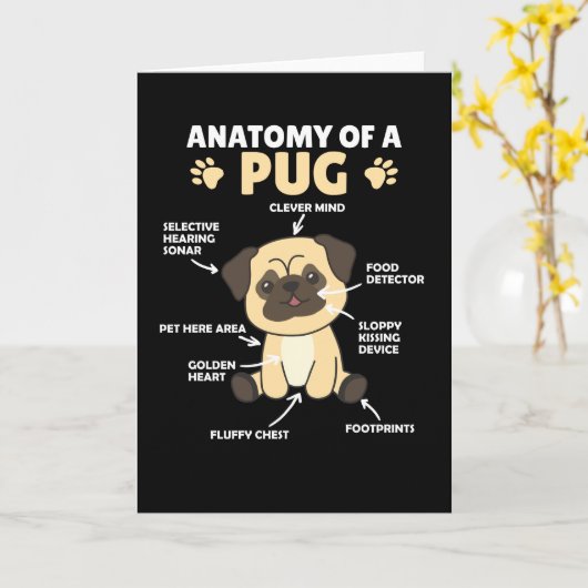 Anatomie van een snoepgoed met snoepgoed kaart (Gele Bloem)