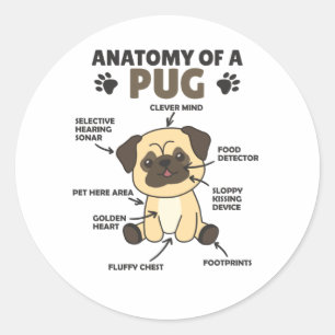 Anatomie van een snoepgoed met snoepgoed ronde sticker