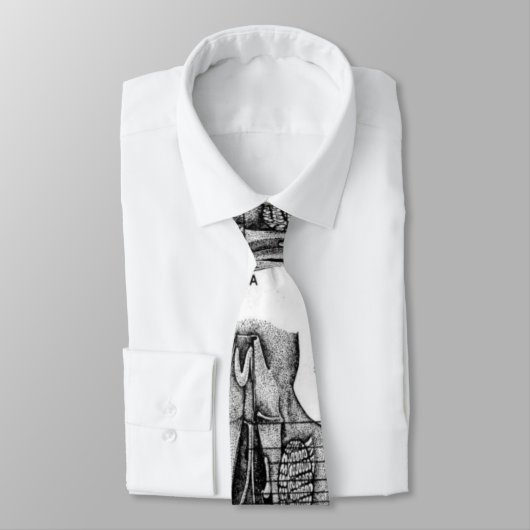 Anatomie van een Stropdas okt8pus (Gebonden)