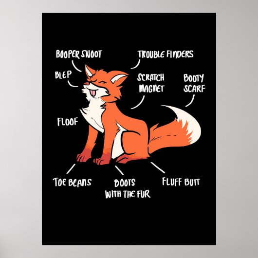 Anatomie van een vos poster (Voorkant)