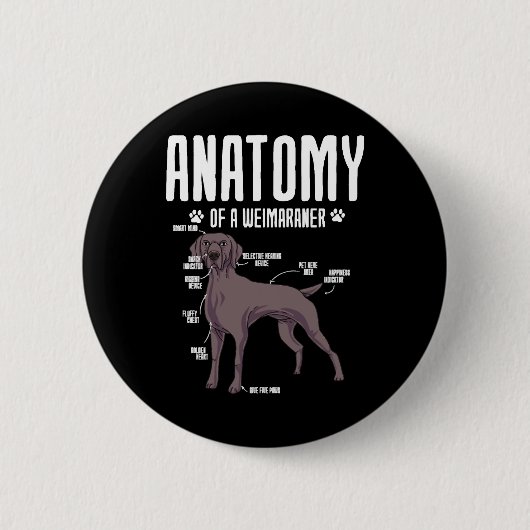 Anatomie van een Weimaraner Ronde Button 5,7 Cm (Voorkant)