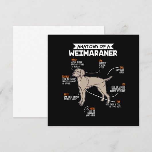 Anatomie van een weimarerhond kaart (Voorkant / Achterkant)