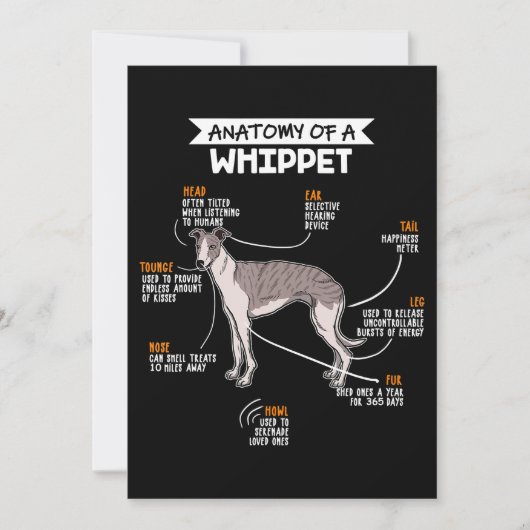 anatomie van een whippet dog grappig hondenliefje feestdagenkaart (Voorkant)
