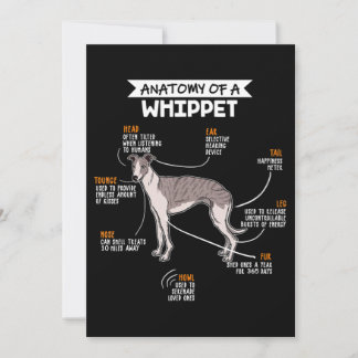 anatomie van een whippet dog grappig hondenliefje feestdagenkaart