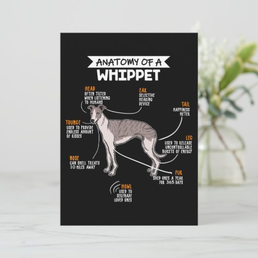 anatomie van een whippet hondenkgift bedankkaart (Staand voorkant)