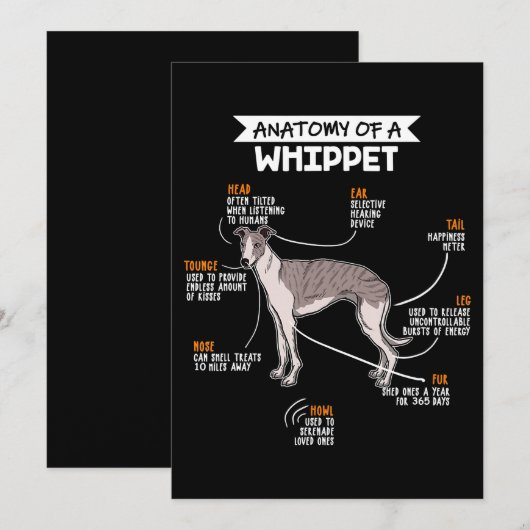 anatomie van een whippet hondenkgift bedankkaart (Voorkant / Achterkant)