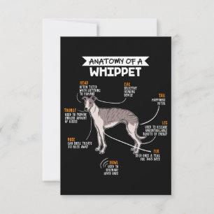 anatomie van een whippet hondenkgift bedankkaart