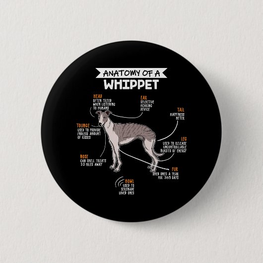 anatomie van een whippet hondenkgift ronde button 5,7 cm (Voorkant)