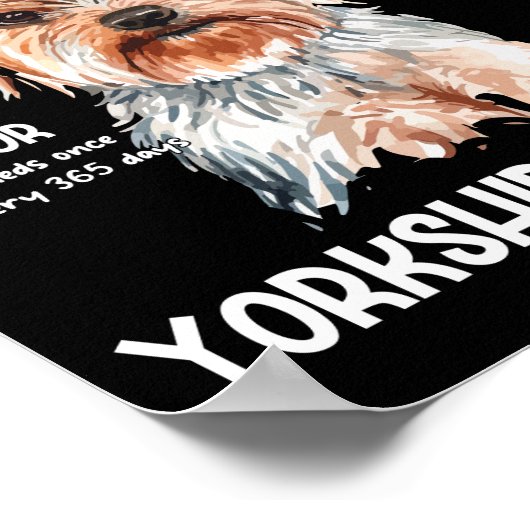 Anatomie van een Yorkshire Terrier voor Hondenlief Poster (Hoek)